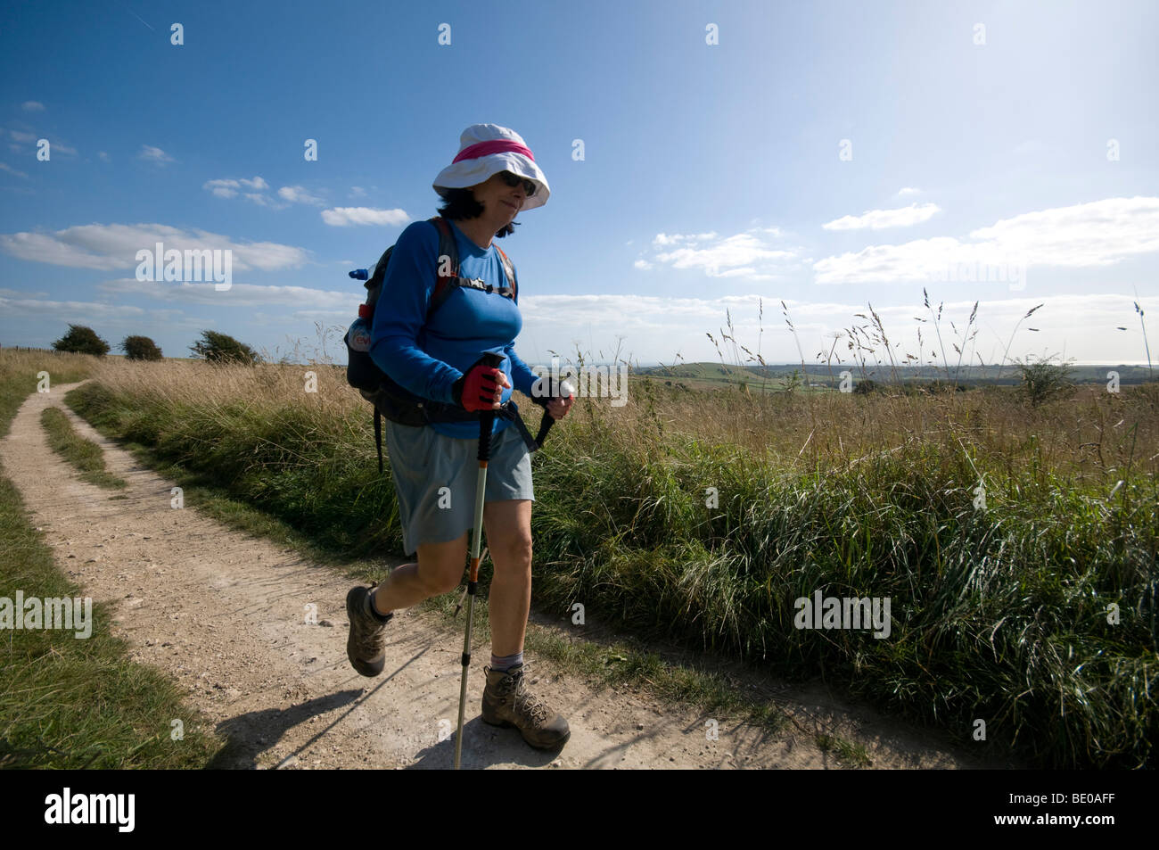 Walkers sul South Downs Sussex Downs utilizzare il percorso Foto Stock