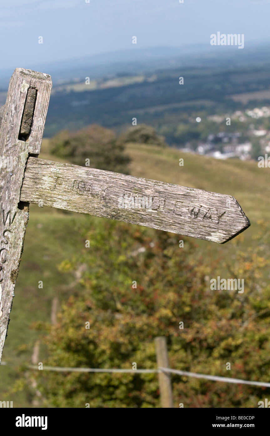Vecchio cartello in legno post per bridleway sulla South Downs del Sussex Foto Stock