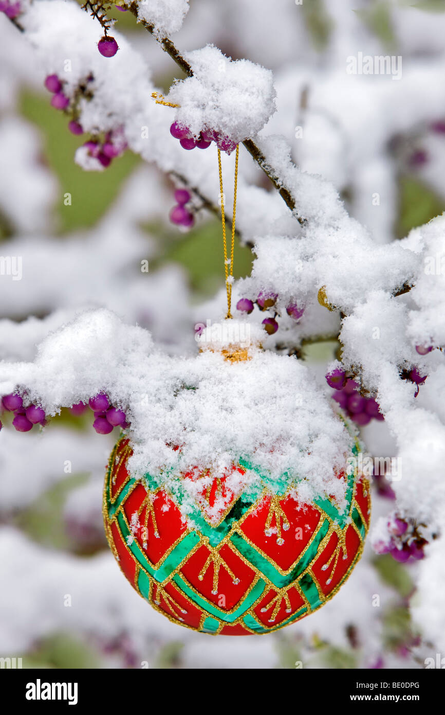Decorazione per albero di Natale in coperta di neve bellezza Bush con bacche di colore viola. Foto Stock
