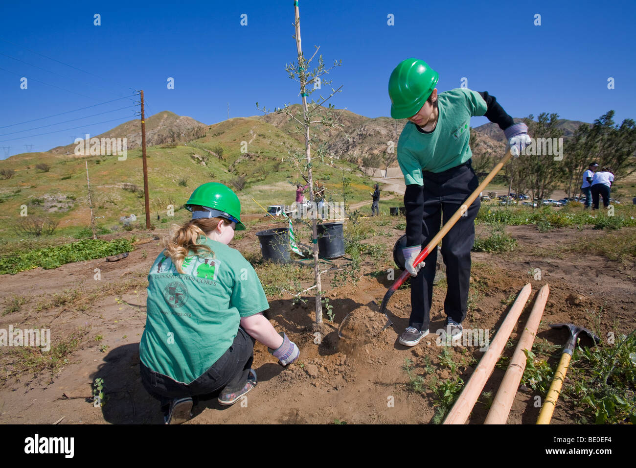 I volontari aiutano presso la piantagione di alberi di rimboschire Stetson Ranch Park in Sylmar dopo la devastante 2008 Wildfire. California Foto Stock