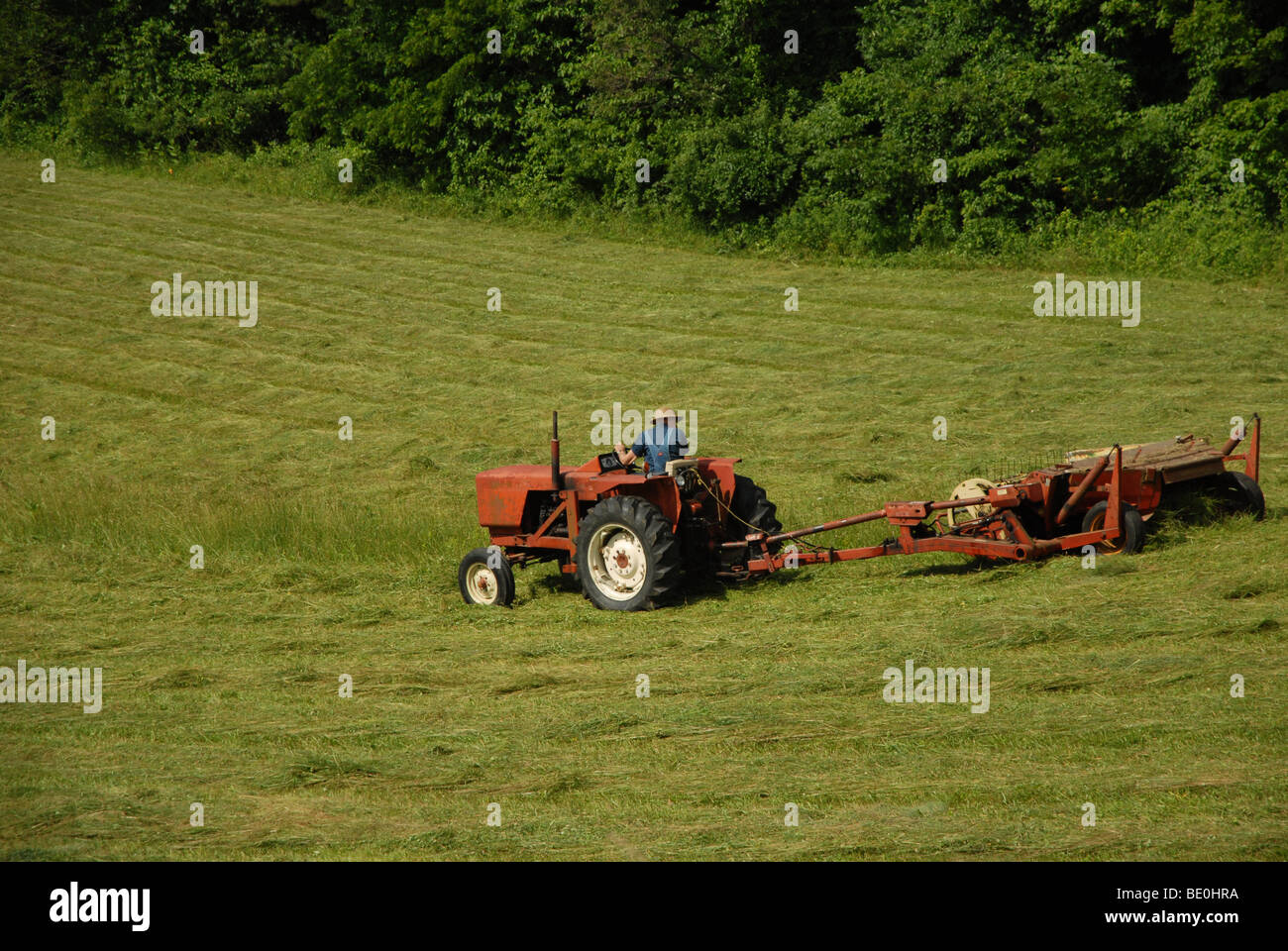 Un uomo a cavallo di un trattore hays il suo campo Foto Stock