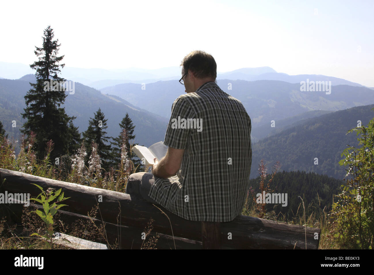 L'uomo, metà 40s, seduta su una panchina a leggere un libro, Silberberg mountain, Foresta Nera, Baden-Wuerttemberg, Germania, Europa Foto Stock