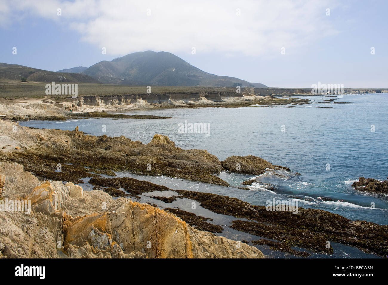 Montaña de Oro del Parco Statale di San Luis Obispo County, California, Stati Uniti d'America Foto Stock