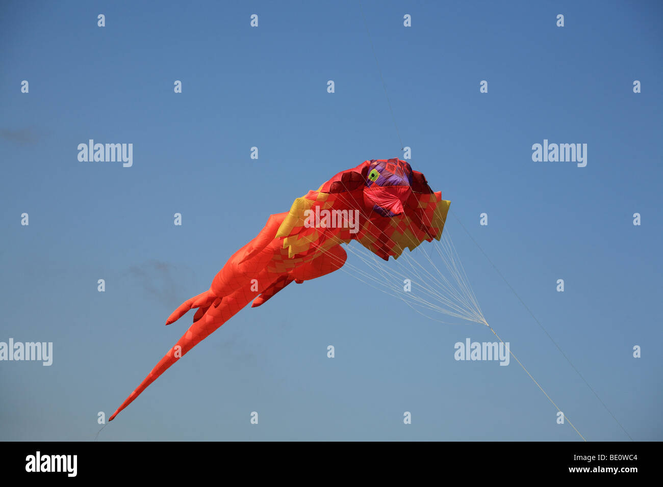 Aquilone gigante al 2009 Bristol Kite Festival. Foto Stock