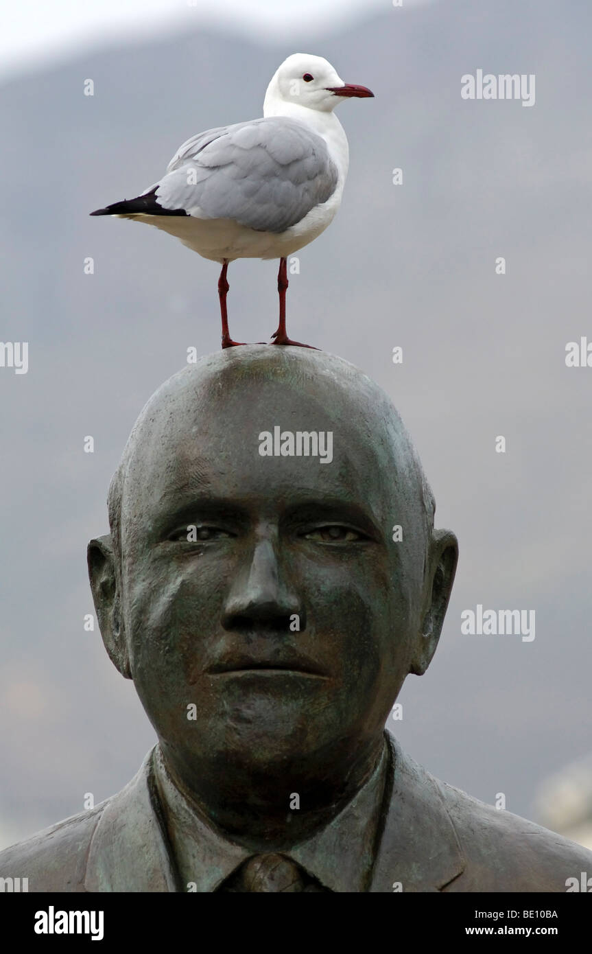 Seagull permanente sulla testa del Premio Nobel per la pace la F. W. de Klerk, Nobel Square, Waterfront, Città del Capo, Sud Africa Foto Stock