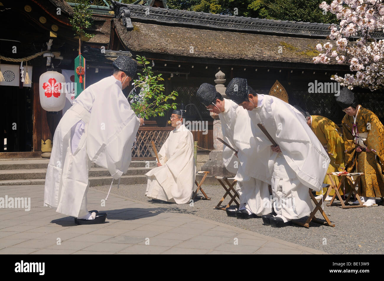 Lo Shintoismo sacerdote a purgation con sventolando rami e piegando i sacerdoti, santuario festival durante la fioritura dei ciliegi a Hirano Shr Foto Stock