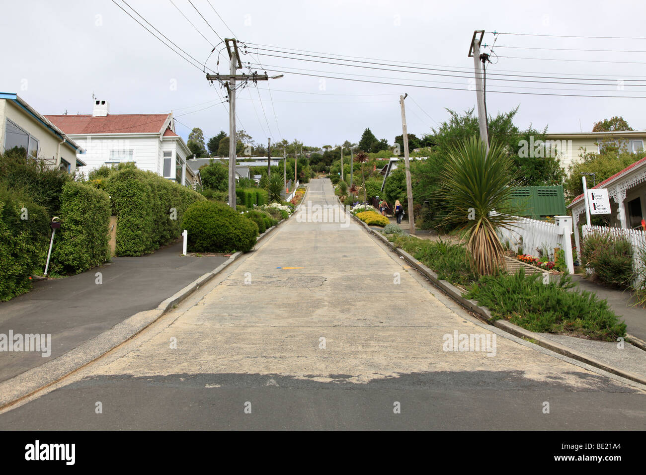 Libro Guinness dei primati. La strada più ripida del mondo Baldwin Street Dunedin Otago,Isola del Sud,Nuova Zelanda Foto Stock