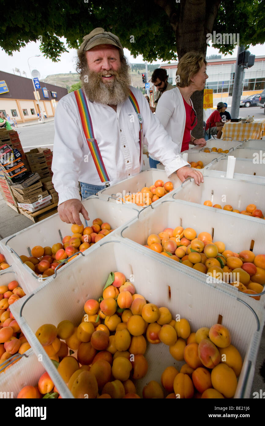 L'uomo vendita organici albicocche al mercato degli agricoltori in La Grande Oregon Foto Stock