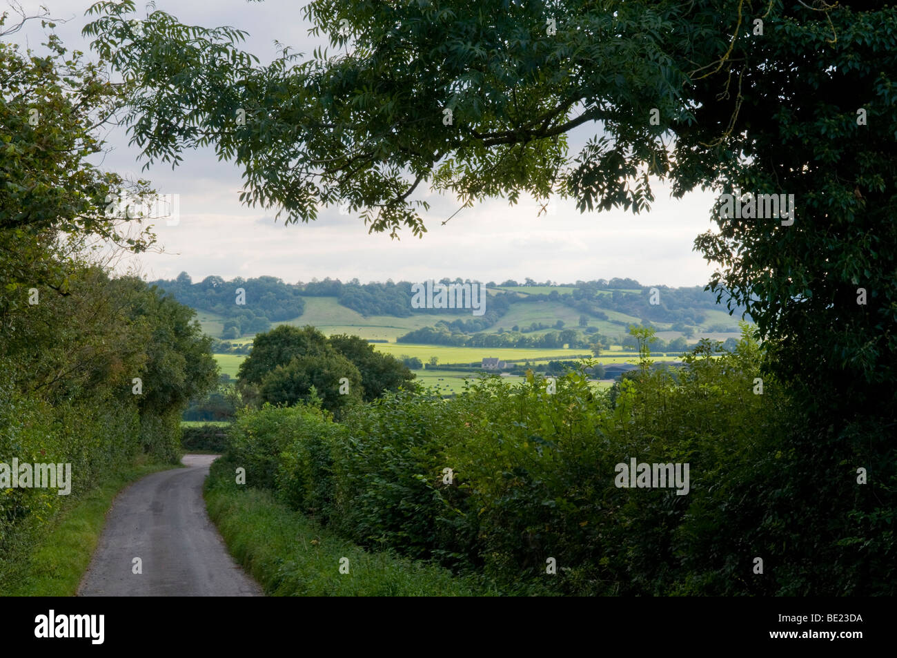 L'azienda agricola degna, Pilton, Somerset. Questi campi sono meglio conosciuto come il sito del festival di Glastonbury, gestito da Michael Eavis. Foto Stock
