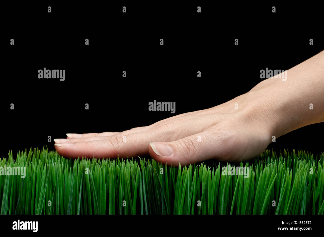 Femmina orizzontale mano sull'erba verde su nero Foto Stock