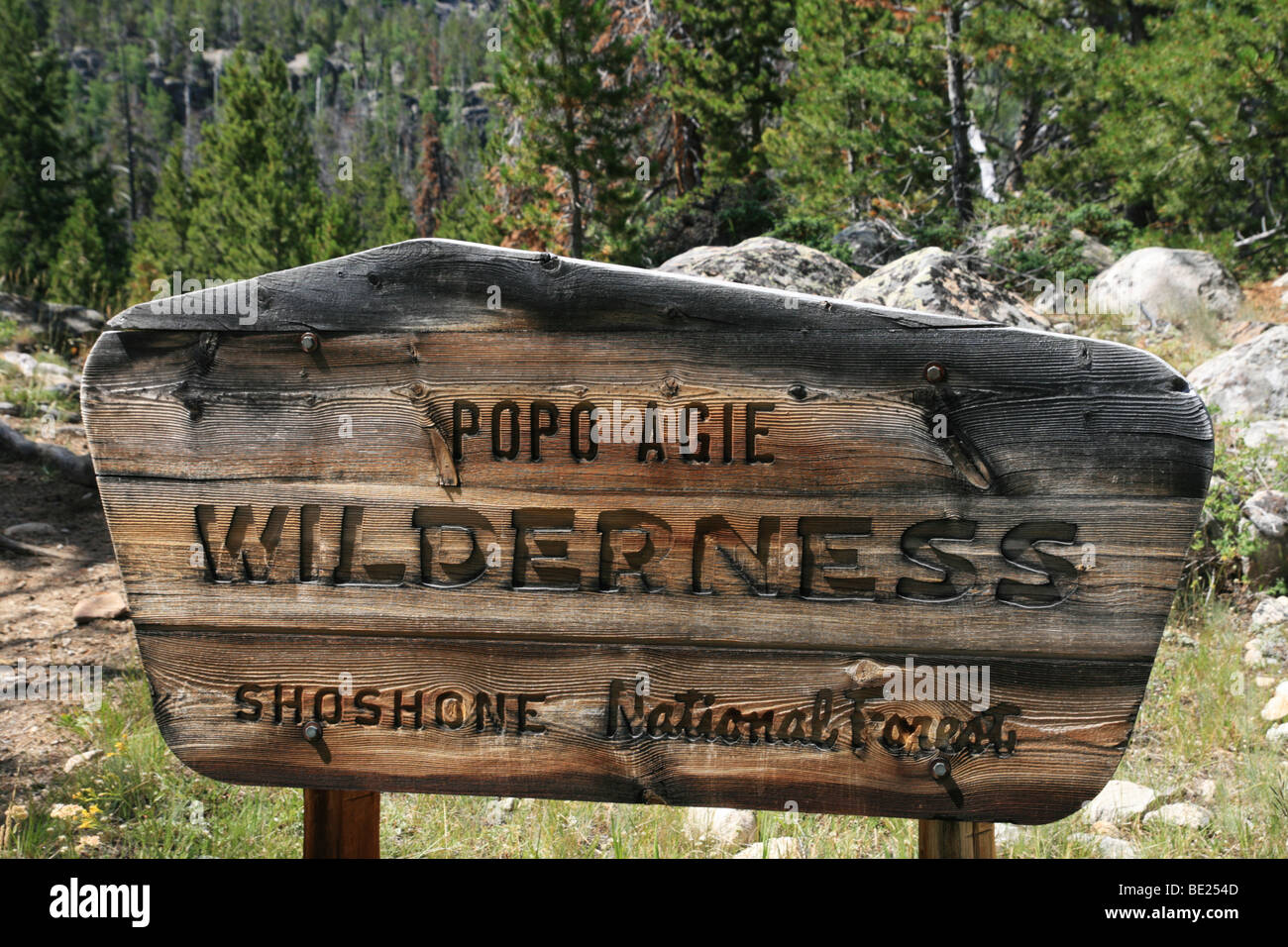 Popo Agie wilderness segno medio lungo il sentiero della forcella nella Wind River Range, Wyoming Foto Stock
