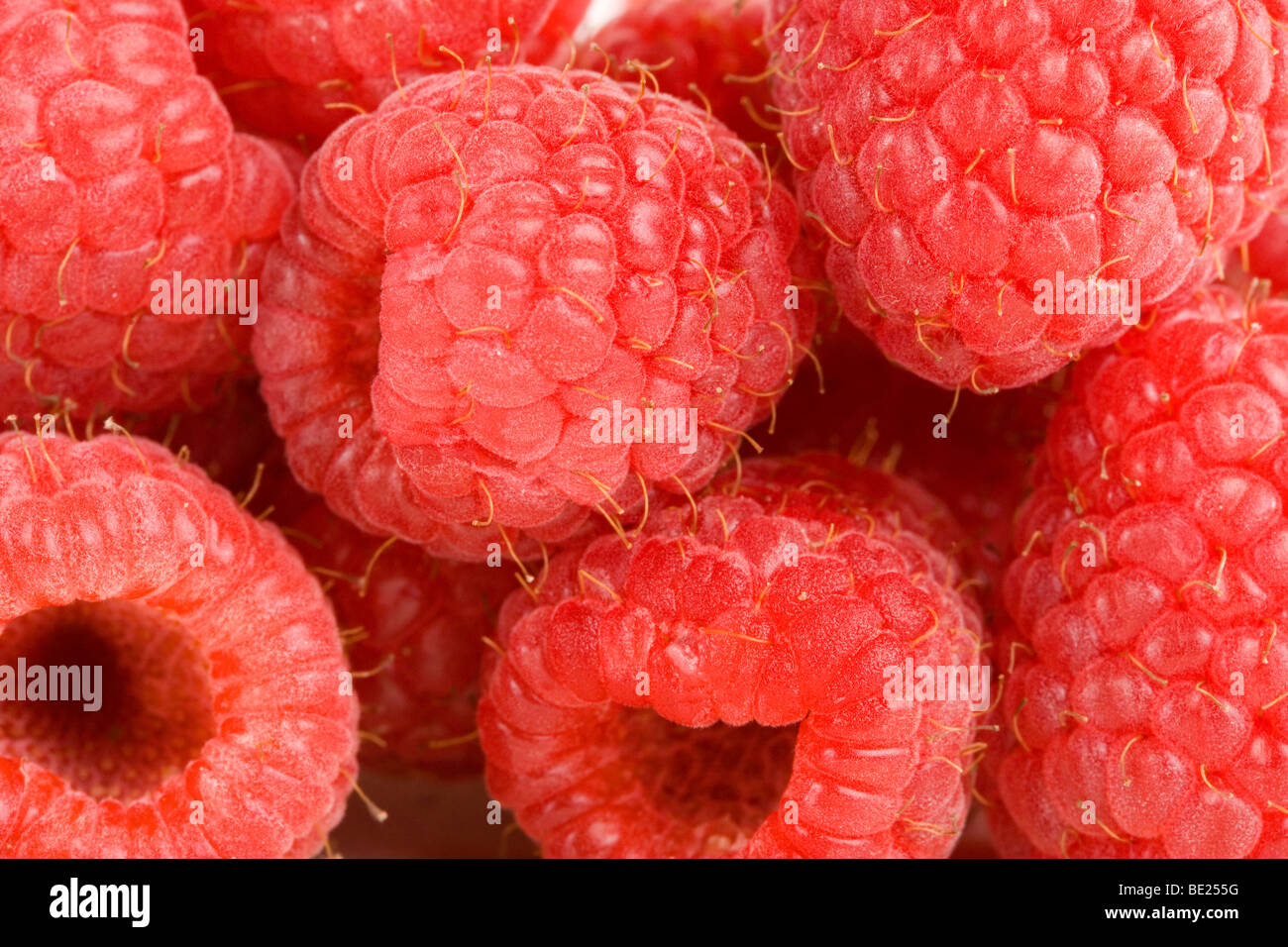 Close up di lamponi Foto Stock