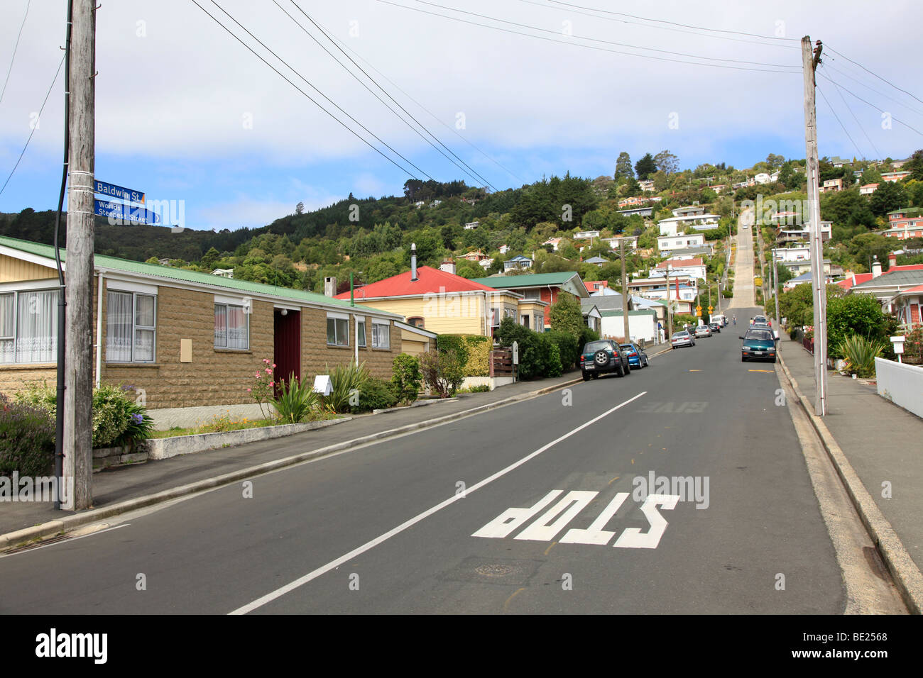 Libro Guinness dei primati. La strada più ripida del mondo, Baldwin Street, Dunedin, Otago,Isola del Sud,Nuova Zelanda Foto Stock