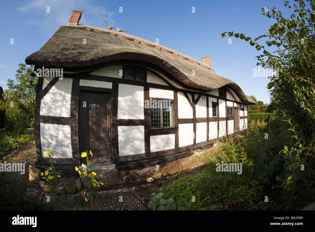 Regno Unito, Inghilterra, Staffordshire, Stafford, Shallowford, Izaak Walton Cottage, obiettivo fisheye view Foto Stock