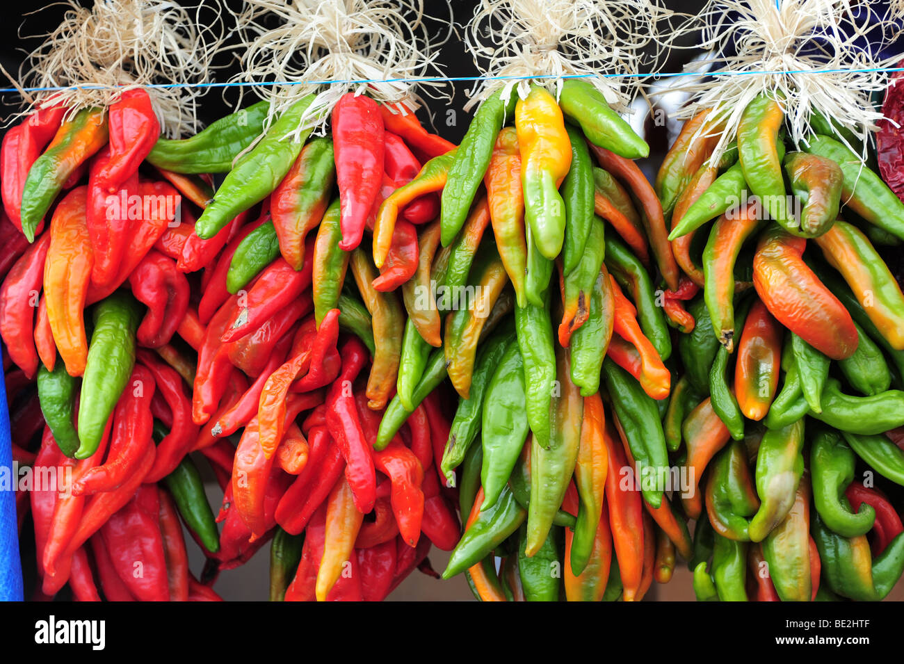 Stati Uniti d'America Berlina, Nuovo Messico- Ristras di caldo i peperoncini piccanti per la decorazione e mangiare Foto Stock