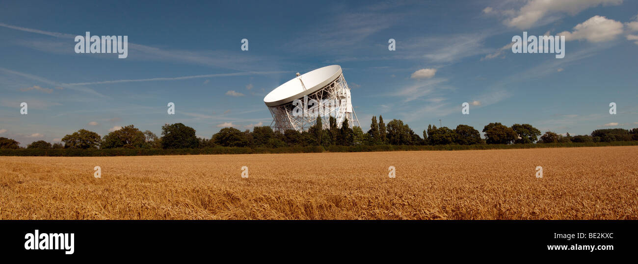 Jodrell Bank radio telescopio e campo di grano, Cheshire, Inghilterra, Regno Unito Foto Stock
