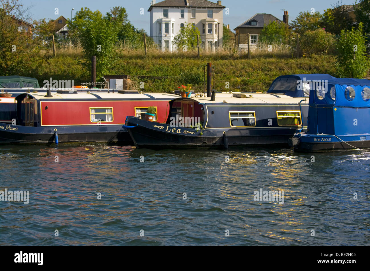 Strette barche ormeggiate sulla riva del fiume Tamigi Surrey in Inghilterra Foto Stock