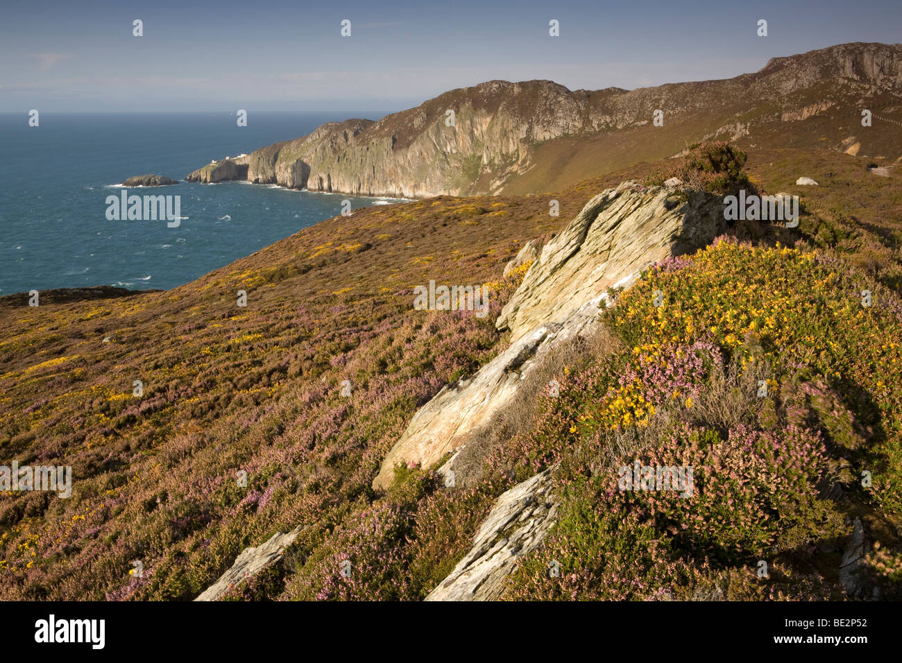 Gogarth Bay & Stack del Nord, sull'Isola di Anglesey, Galles, Regno Unito Foto Stock