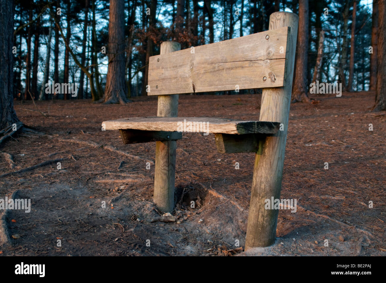 Fatte a mano panca in legno sulla cresta di una collina nel bosco Foto Stock Fatte a mano panca in legno sulla cresta di una collina nel bosco Foto Stock