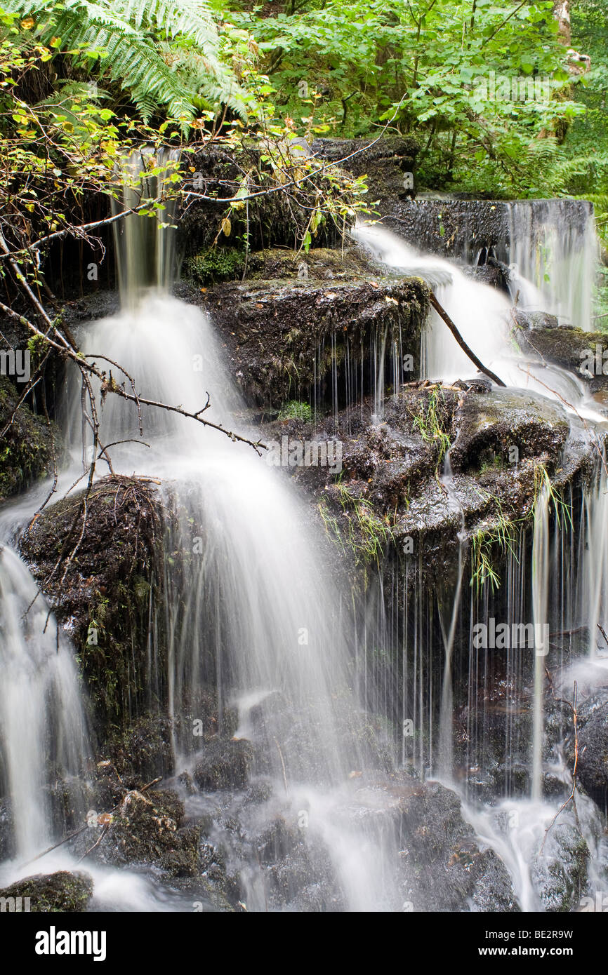 Birks di Aberfeldy. Robert Burns ha visitato nel 1787 e fu così ispirato che ha scritto la poesia "Birks di Aberfeldie'. Foto Stock