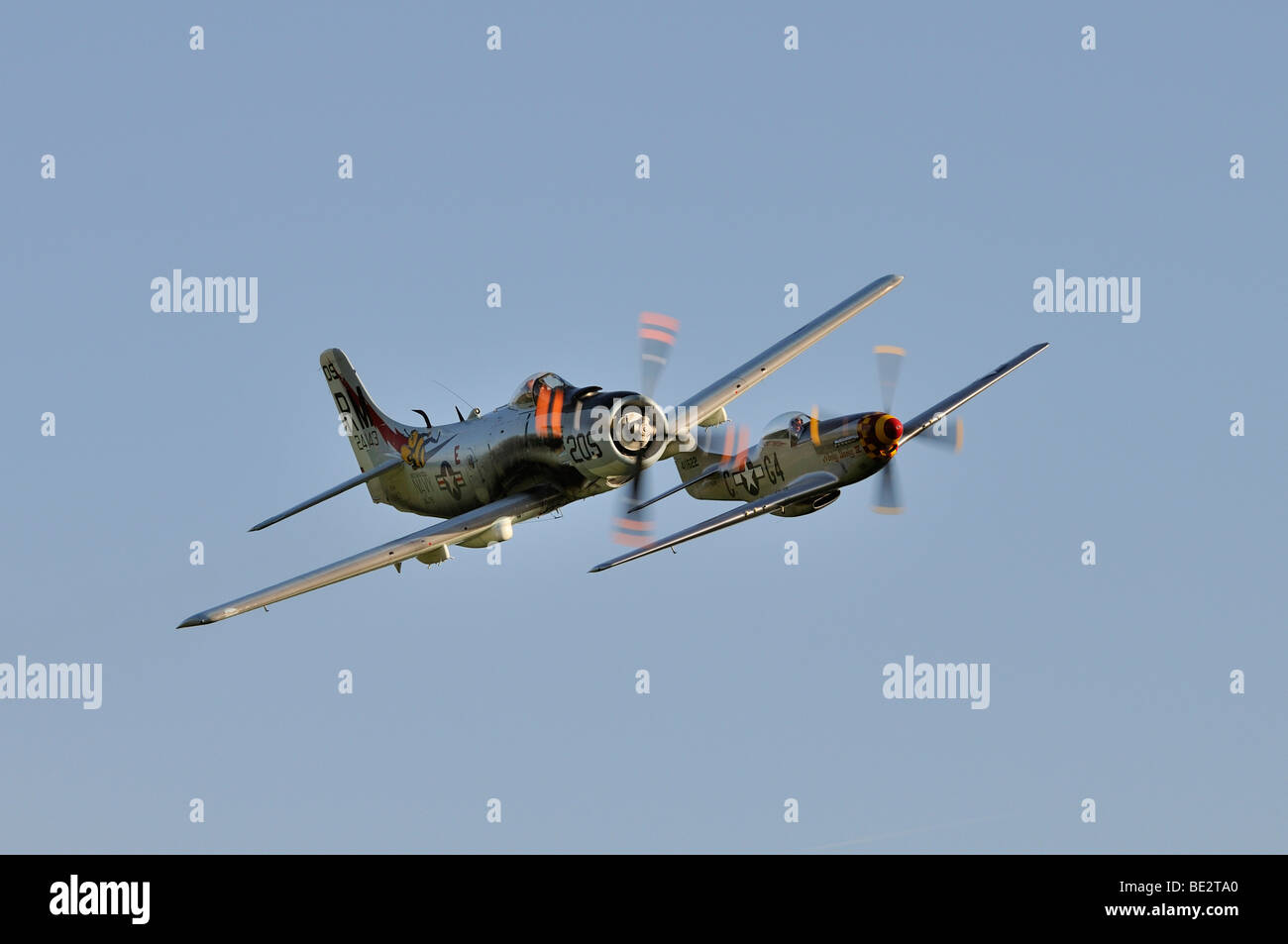 American caccia-bombardieri Douglas A-1 Skyraider e North American P Mustang durante una dimostrazione di volo, il più grande d'Europa. Foto Stock