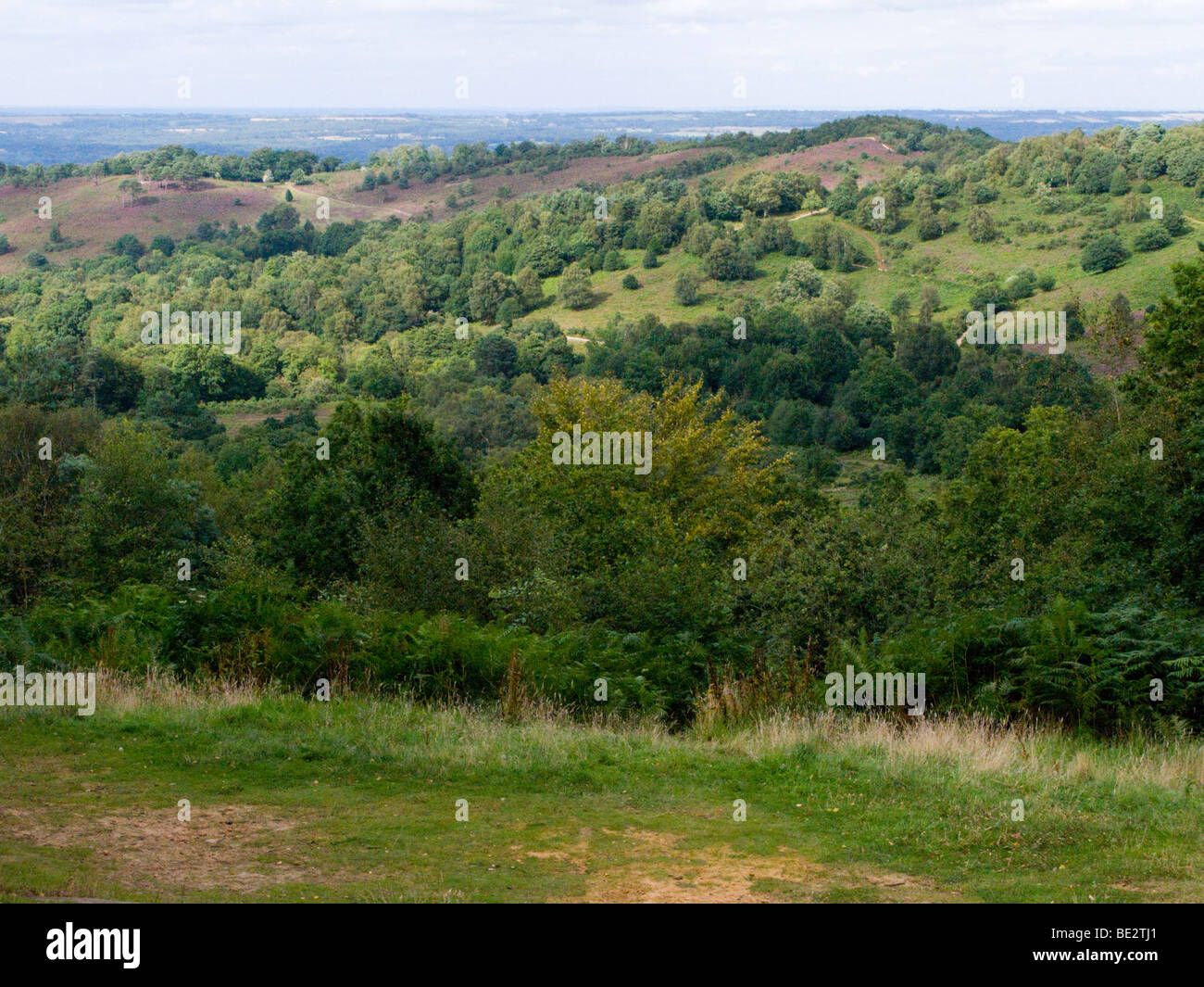 Una vista al di sopra del diavolo la conca. Hindhead. Surrey. Regno Unito. Foto Stock