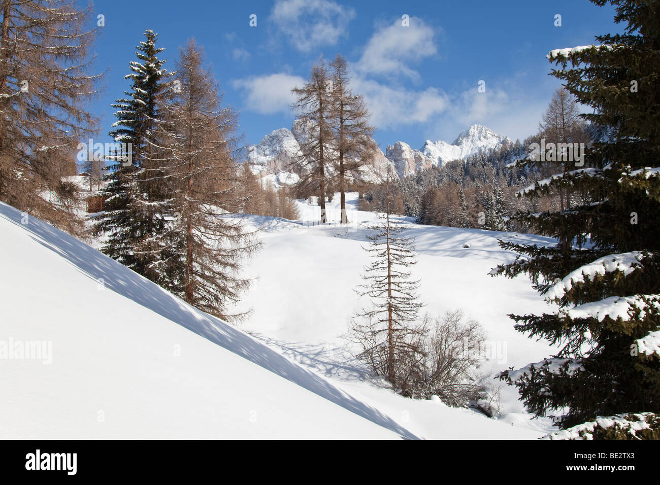 Paesaggio invernale, Val Gardena, Dolomiti, Alto Adige, Trentino Alto Adige, Italia Foto Stock