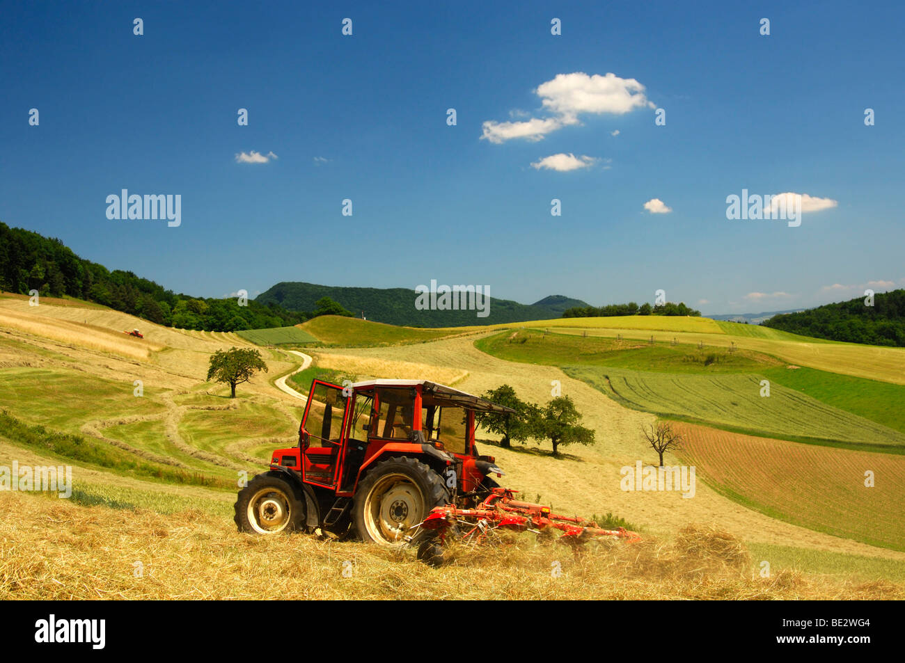 Il trattore facendo il fieno sui prati in Svizzera altopiano centrale nel Cantone di Argovia, Svizzera, Europa Foto Stock