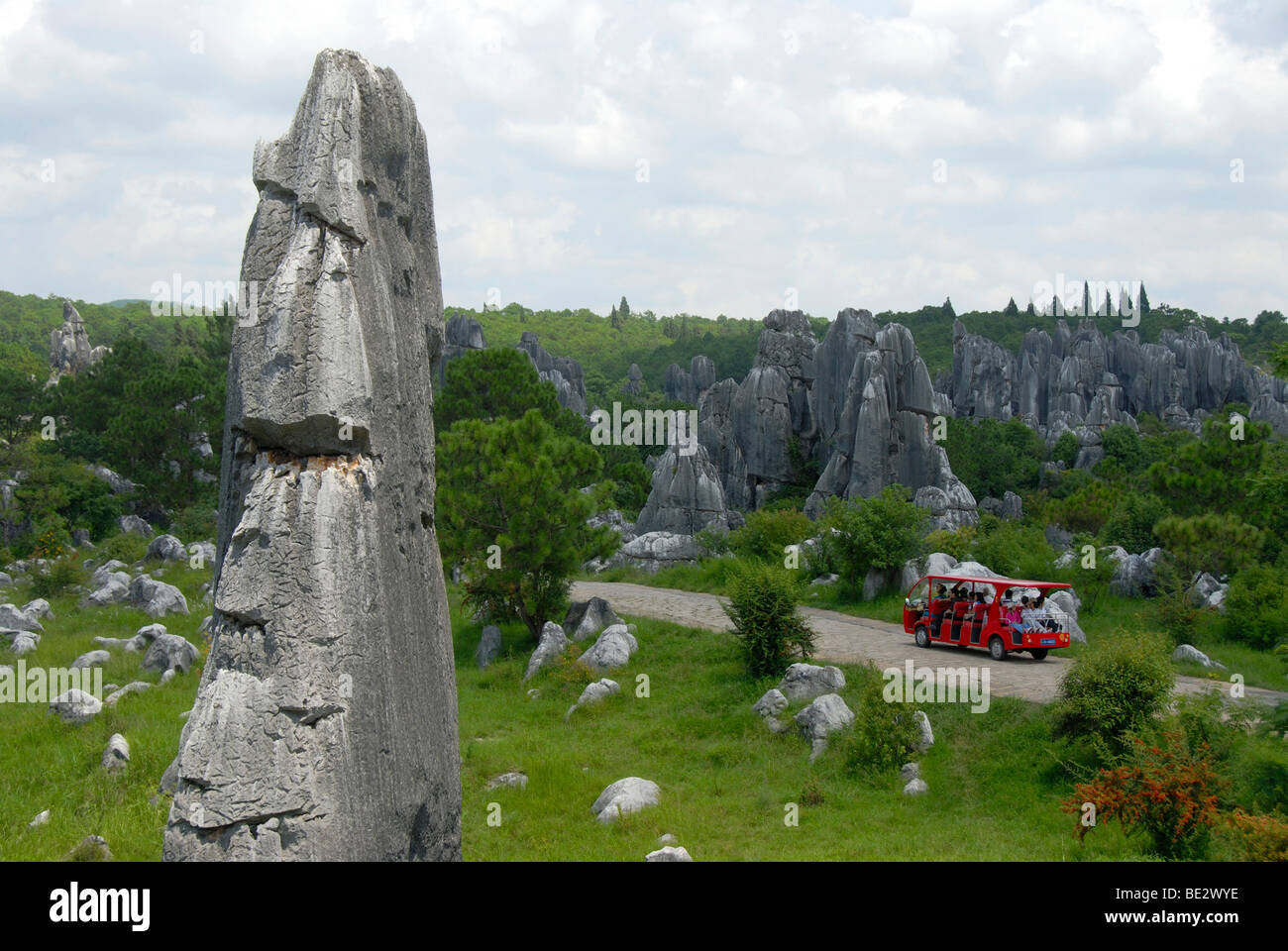 Patrimonio Mondiale dell'UNESCO, il turismo, i turisti cinesi in auto elettriche, rocce come sculture, topografia carsica, Shilin Stone F Foto Stock