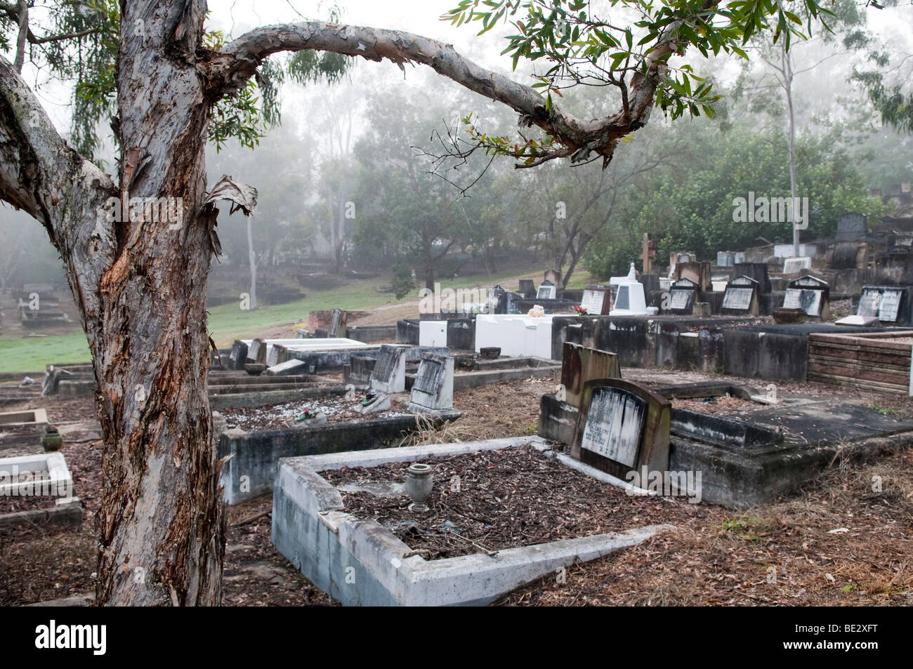 South Brisbane cimitero nella nebbia, Dutton Park, Brisbane, Queensland, Australia Foto Stock