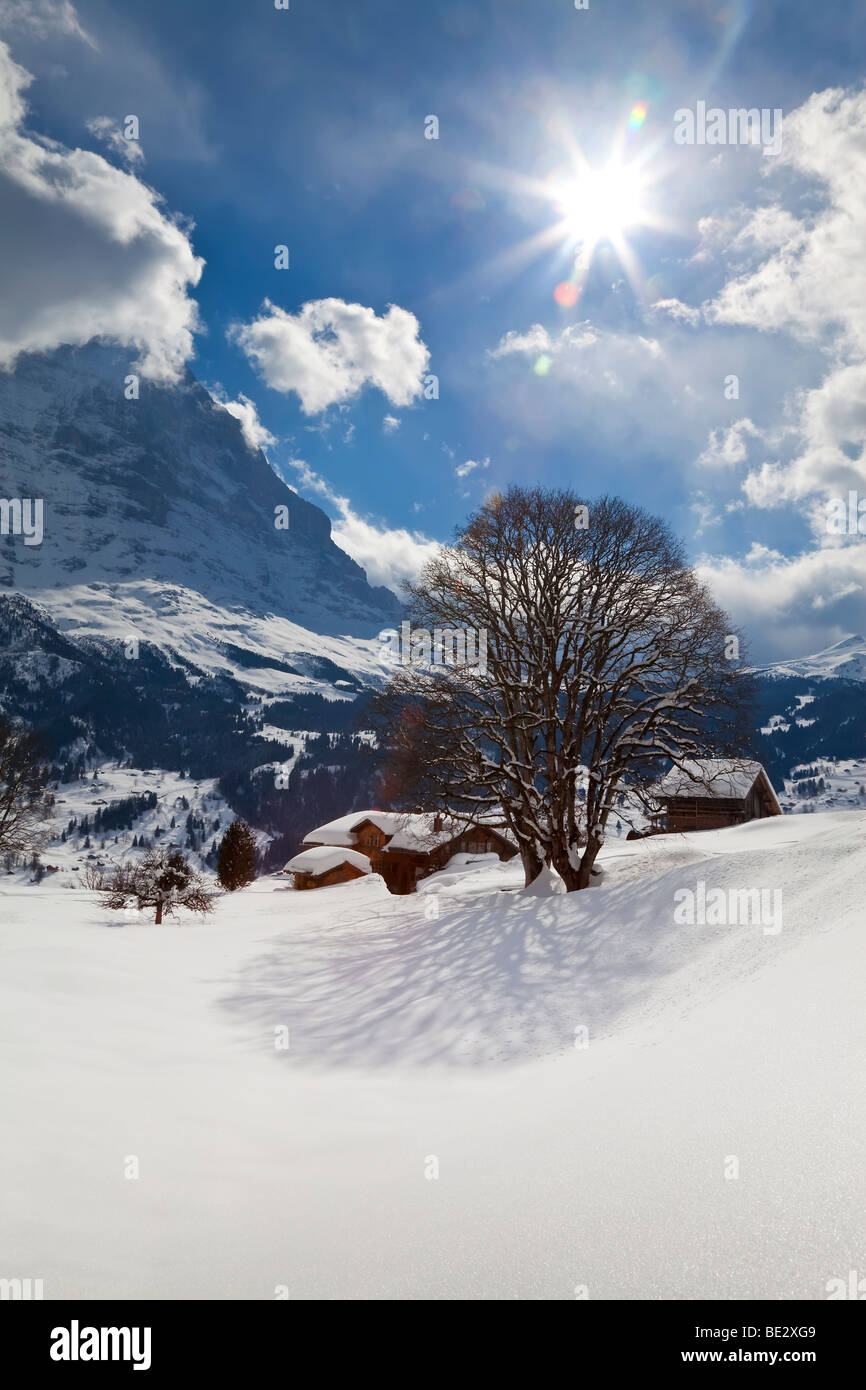Paesaggio invernale, Grindelwald, regione di Jungfrau, Oberland bernese, alpi svizzere, Svizzera Foto Stock