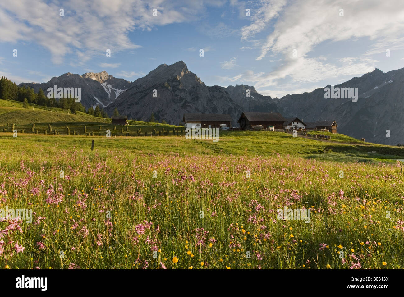 Walder Alm pascoli di montagna, Tirolo del nord, Austria, Europa Foto Stock