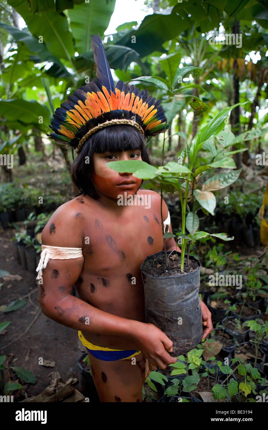 ISA è una ONG brasiliana sostenuto da diversi donatori europei e gestisce un vivaio per replaning foresta. Essi incoraggiano Indi Foto Stock