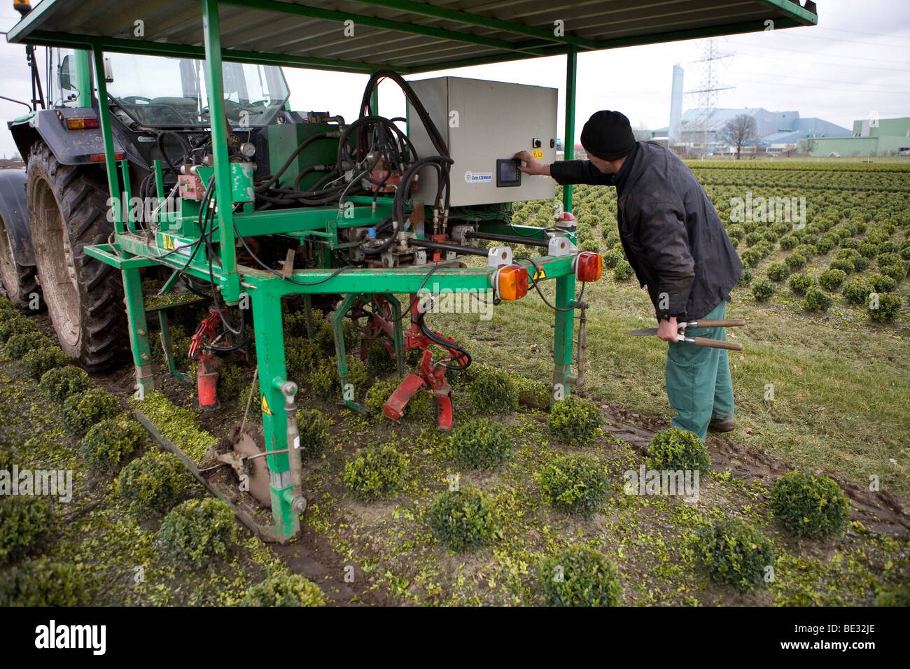 La potatura degli arbusti è fatto da un semplice robot. Attraverso i sensori, il robot taglia il poco si dirama in una forma rotonda. Foto Stock