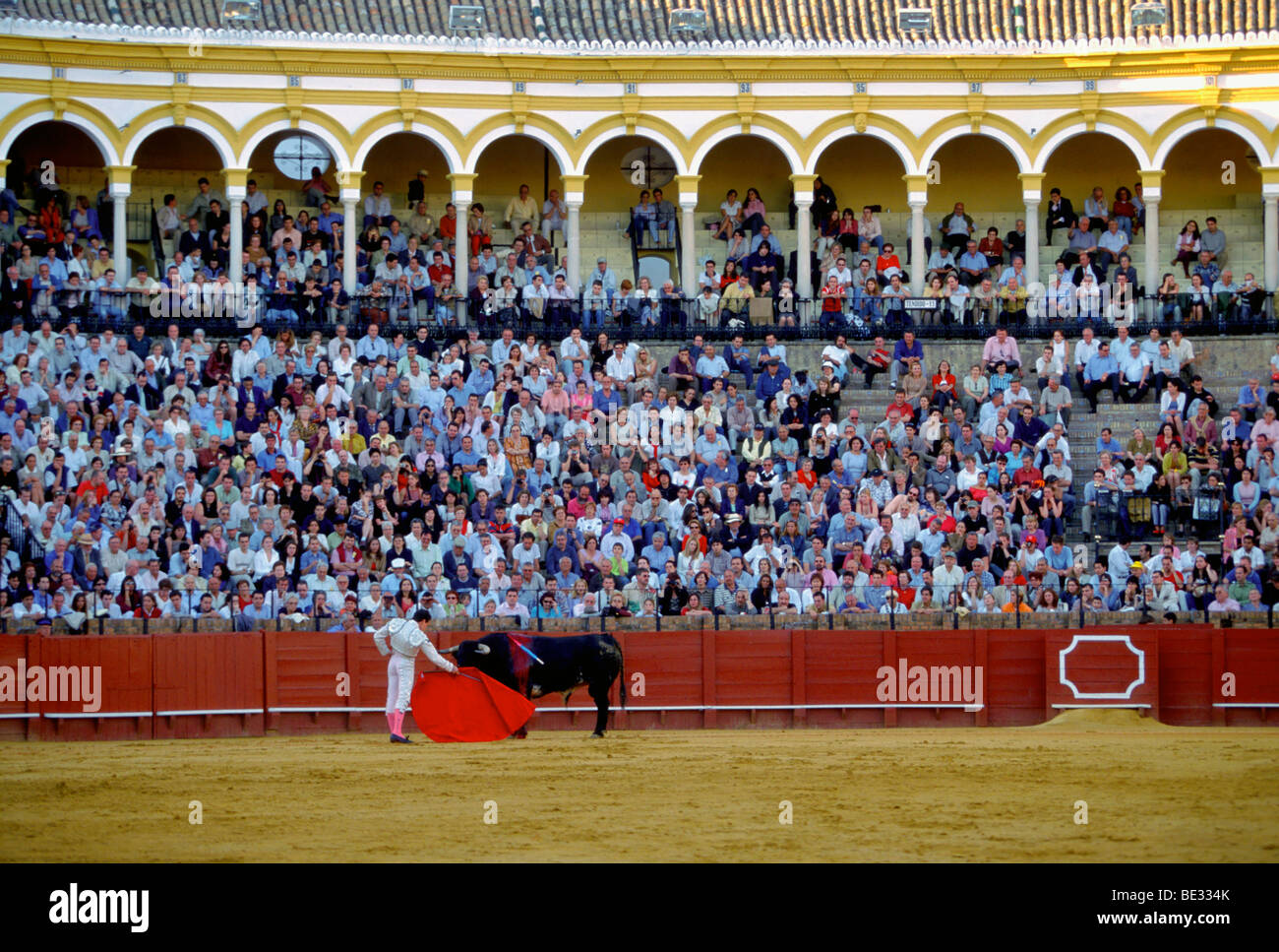 La Corrida nella Plaza de Toros, Siviglia, in Andalusia, Spagna, Europa Foto Stock