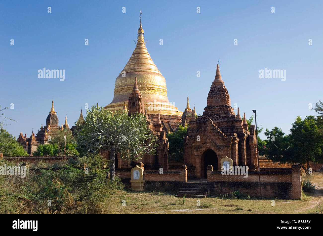 Golden Zedi, Zedi Dhammayazika Pagoda, Bagan, pagano, birmania, myanmar, Asia Foto Stock