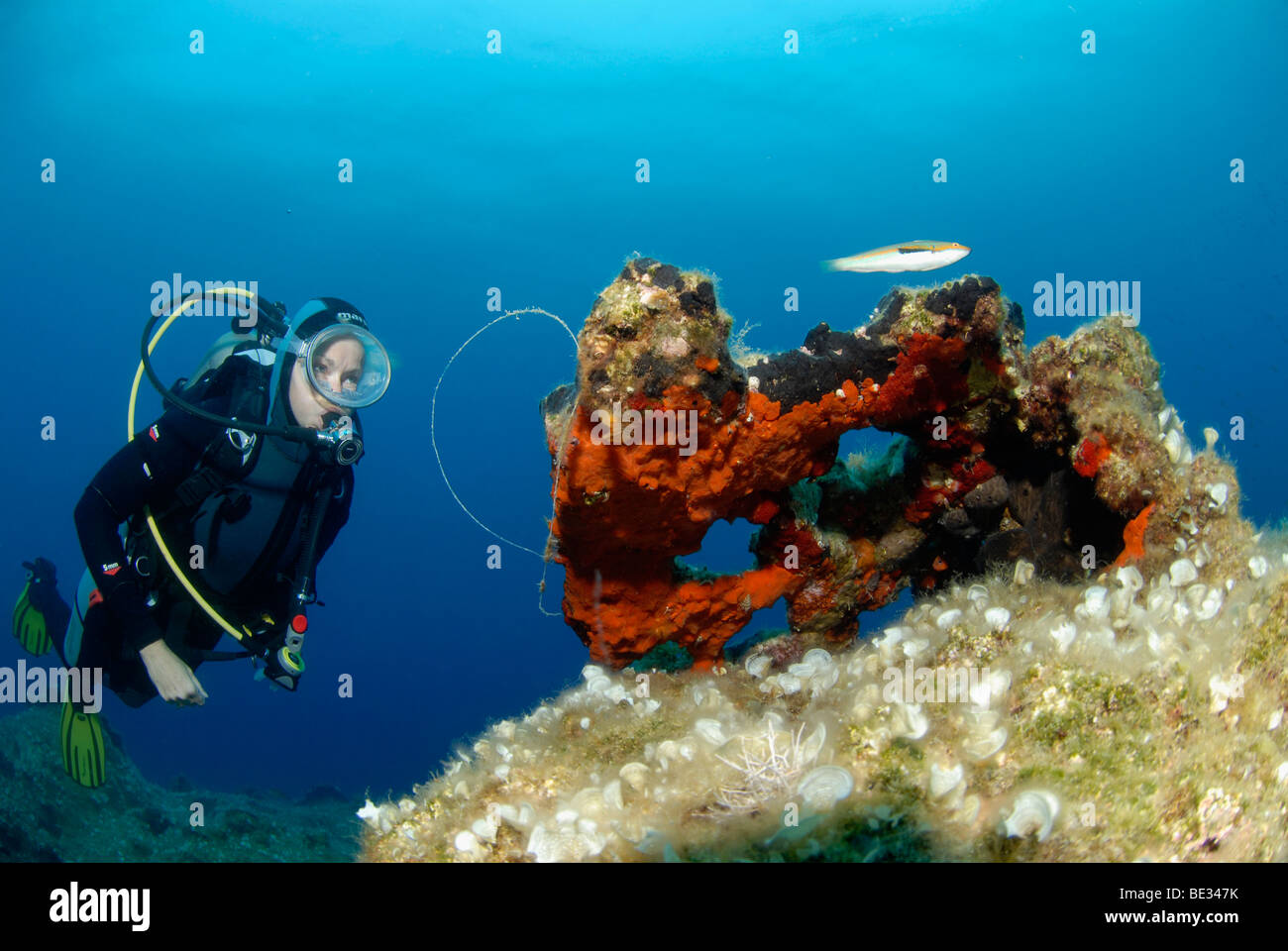 Immersioni subacquee a Marmaris, Datca Peninsula, Aegaen Mare, Mare mediterraneo, Turchia Foto Stock