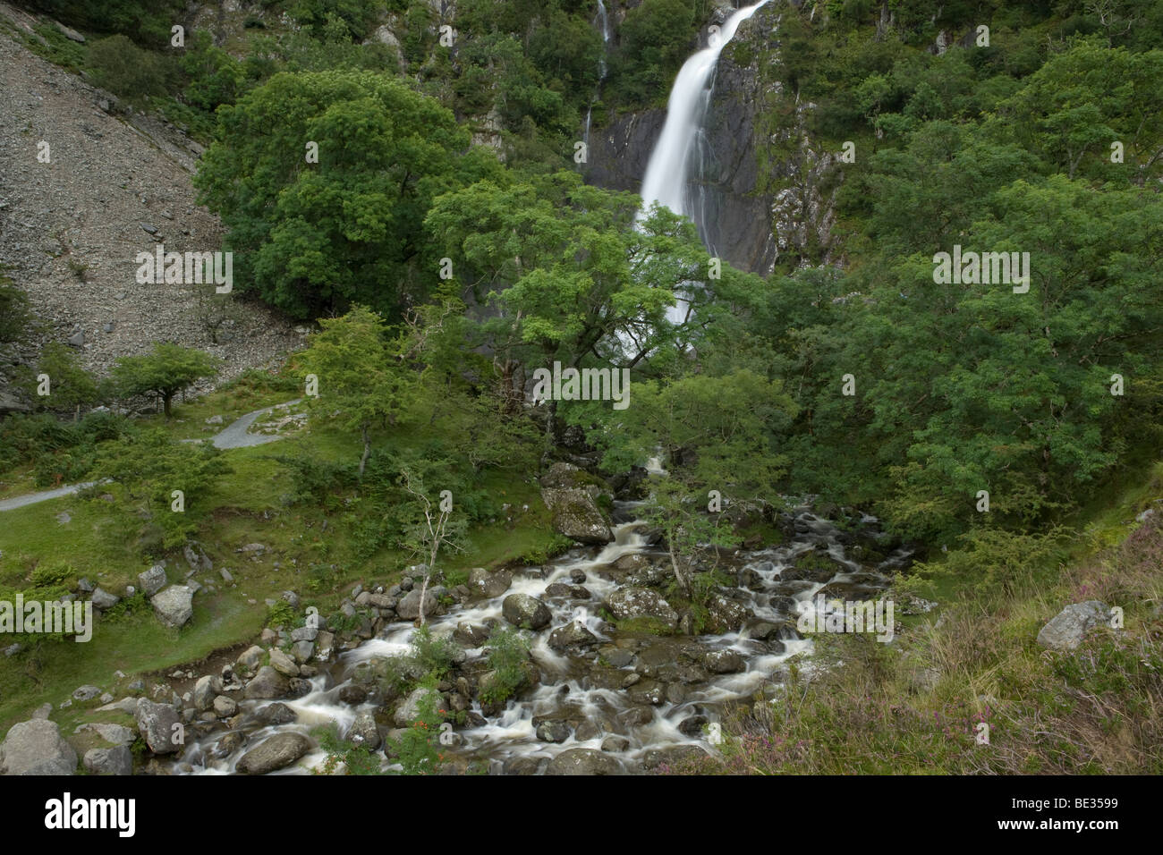 Il sentiero di Aber cade in Coedydd Riserva Naturale Nazionale, Conwy, Wales, Regno Unito Foto Stock