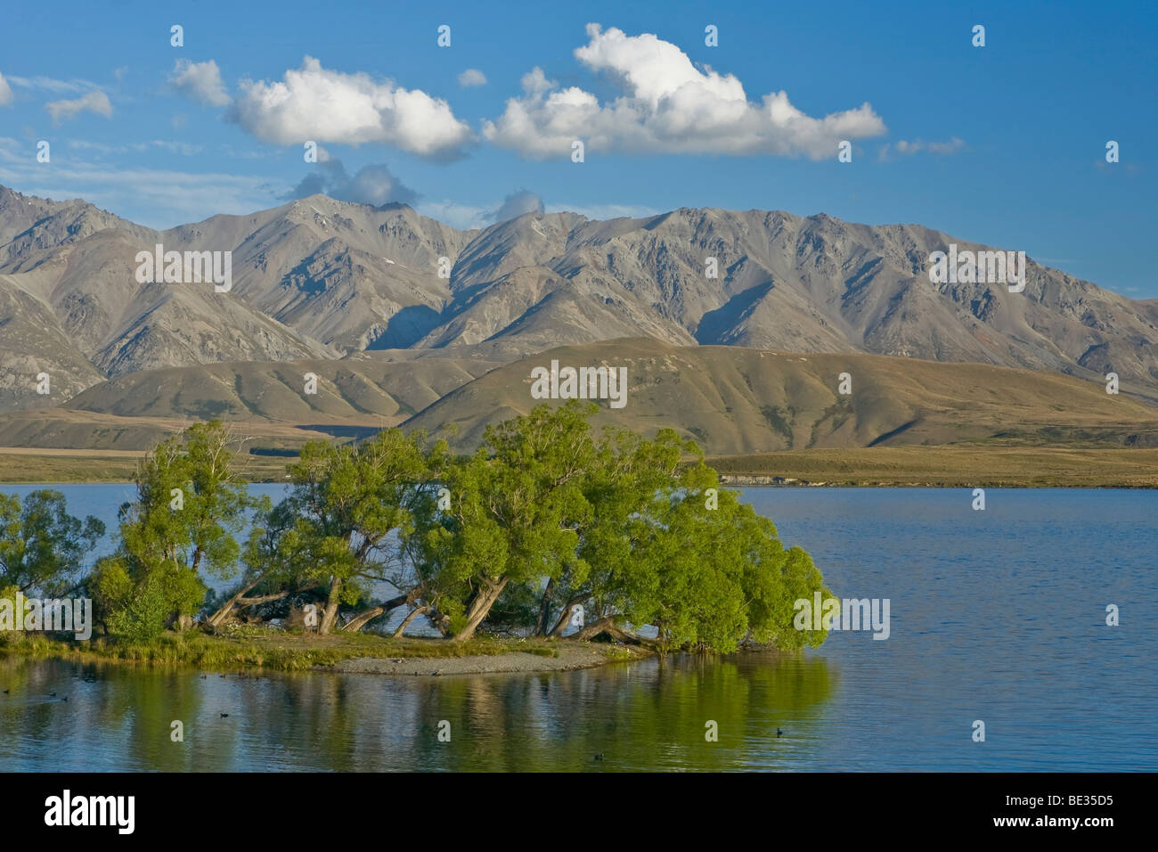 Isola con alberi sul Lago di Taylor con una vista sulle montagne della gamma di Taylor, Isola del Sud, Nuova Zelanda Foto Stock