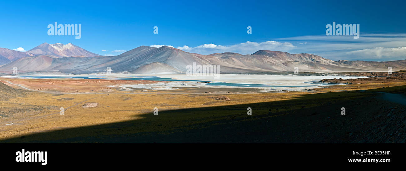 America del sud del Cile e Norte Grande, Regione di Antofagasta, il deserto di Atacama, los Flamencos Riserva nazionale Foto Stock