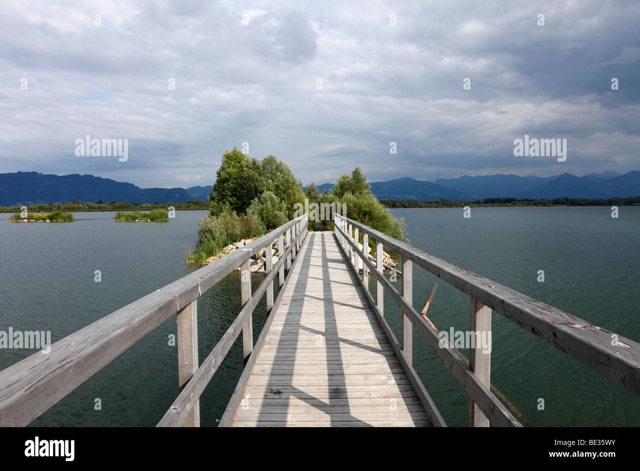 Passeggiata al Lago di Costanza e del Reno estuario Riserva Naturale, Rohrspitz, Fussach, Vorarlberg, Austria, Europa Foto Stock