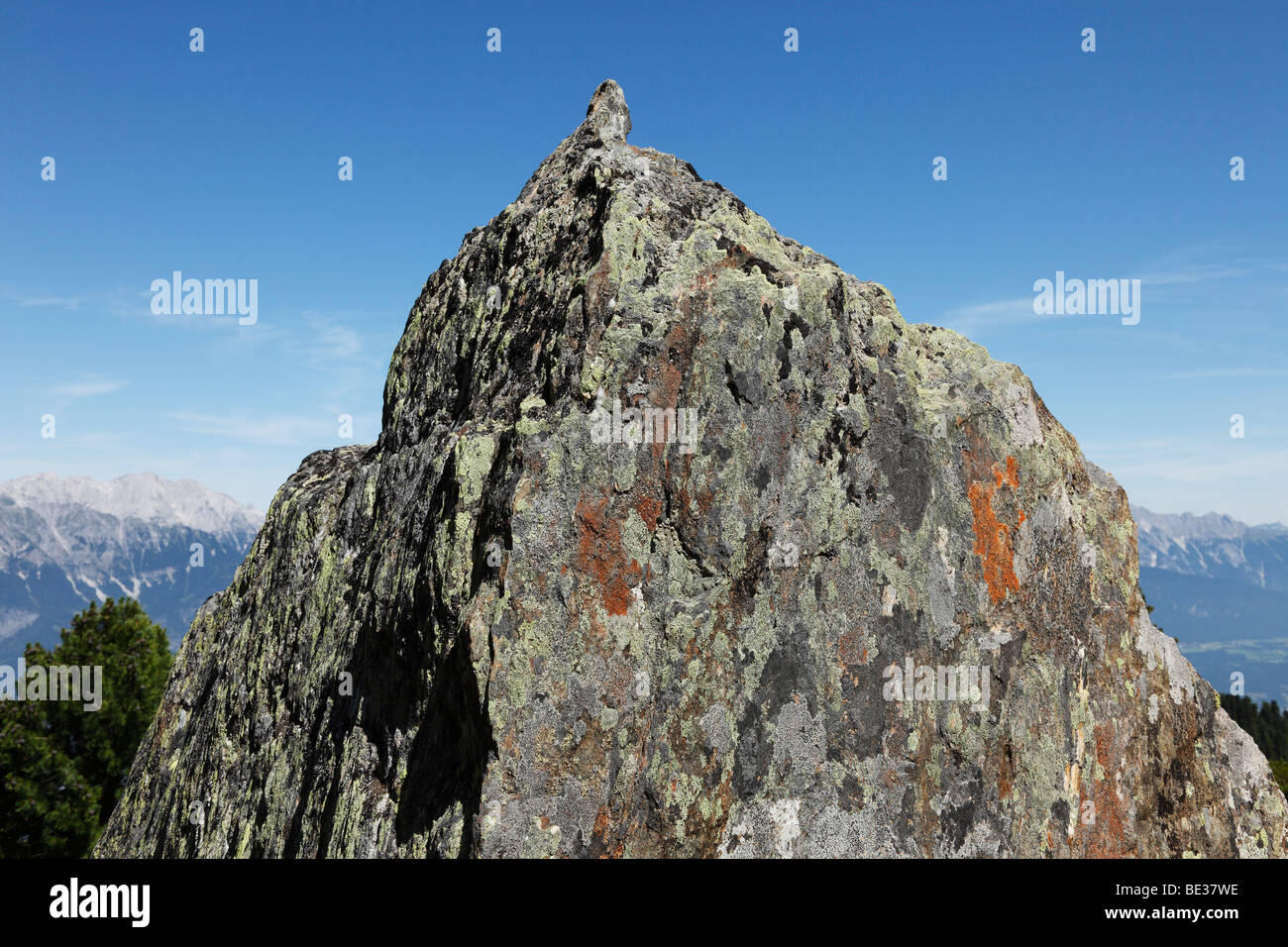 Roccia con licheni, Mt. Patscherkofel, Alpi di Tux, Tirolo, Austria, Europa Foto Stock