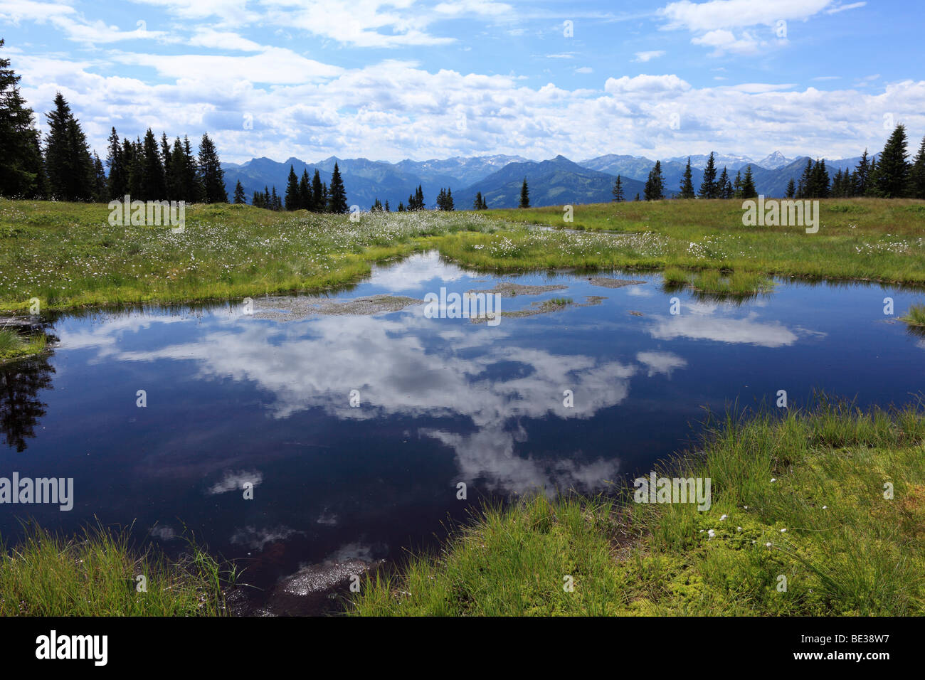 Marsh stagno su Mt. Rossbrand, Pongau, Land Salzburg, Salisburgo, Austria, Europa Foto Stock