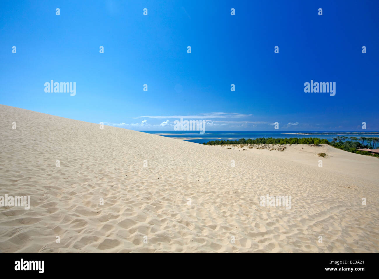 Dune du Pyla, Dune du Pilat, Arcachon Gironde, Aquitaine, Francia meridionale, Francia, Europa Foto Stock