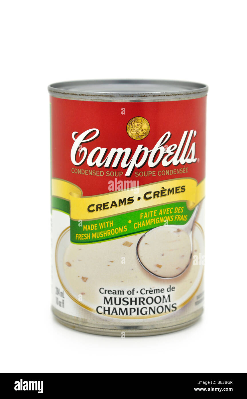 Stagno/possibile di Crema di zuppa di funghi. Foto Stock