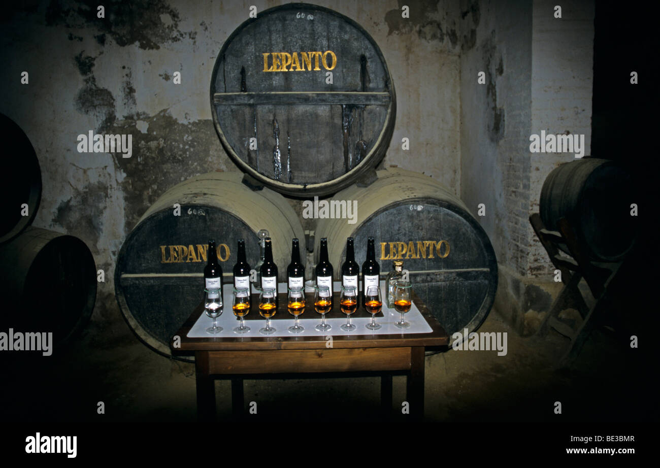 Sherry grotta vigna display, Jerez de la Frontera, Andalusia, Spagna, Europa Foto Stock