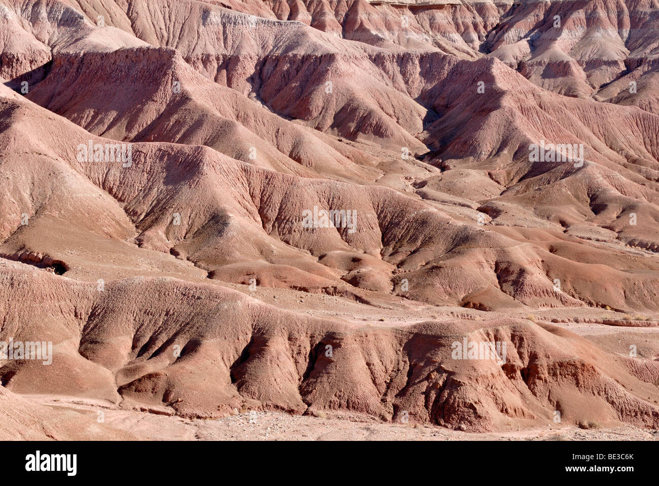 Guardando le colline del Deserto Dipinto nella Tuba City, Highway 160, Arizona, Stati Uniti d'America Foto Stock