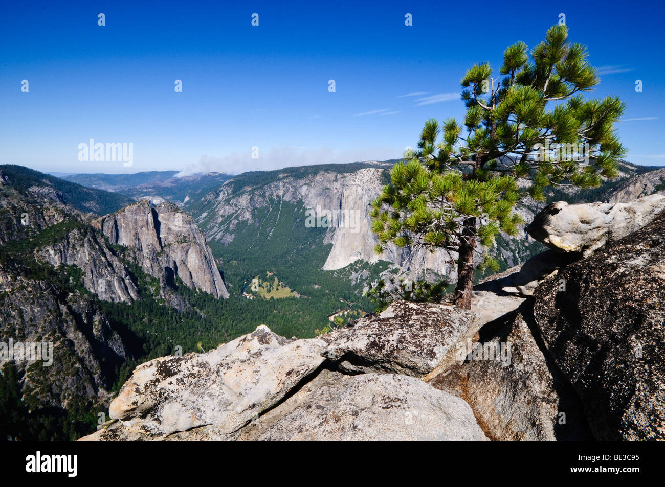 YOSEMITE NATIONAL PARK, California: L'aspro sentiero di Taft Point si snoda attraverso foreste di pini verso viste mozzafiato della Yosemite Valley. Il percorso conduce a spettacolari viste sulla scogliera, offrendo un'alternativa meno affollata ai famosi punti panoramici e mostrando le maestose formazioni di granito del parco e la vasta natura selvaggia. Foto Stock