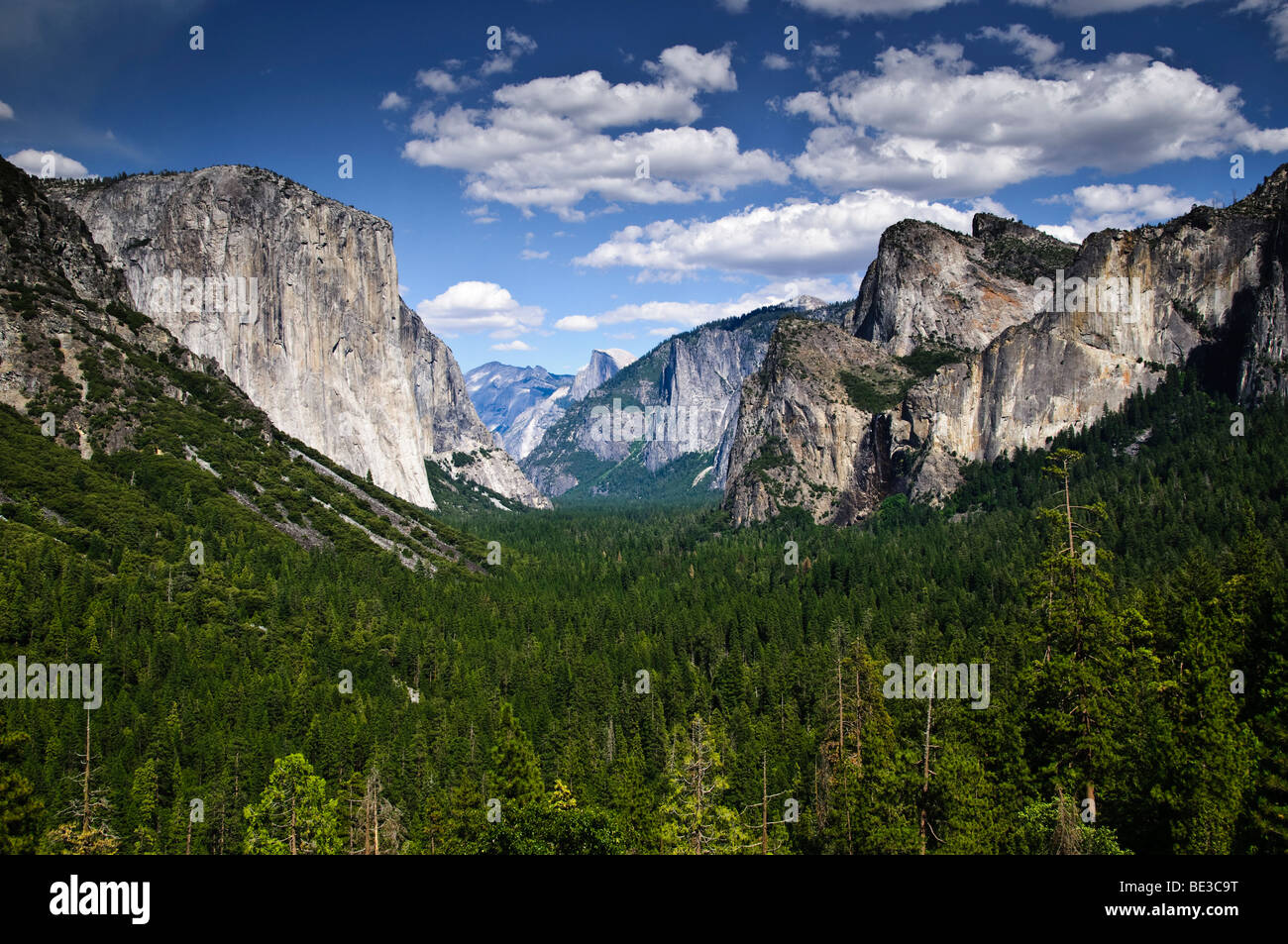 PARCO NAZIONALE DI YOSEMITE, California: Le maestose scogliere di granito di El Capitan e la torre Half Dome sulla lussureggiante Yosemite Valley. Il tranquillo fiume Merced riflette il paesaggio iconico, mostrando la bellezza naturale mozzafiato che ha reso Yosemite uno dei parchi nazionali più amati d'America. Foto Stock