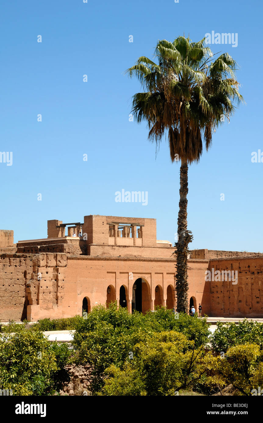 Pareti con facciata in mattoni, giardini e palme al 16° Palazzo El Badi (1578-1593) o Palazzo Badi a Marrakech o Marrakech Marocco Foto Stock